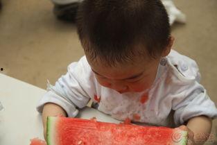 唐僧你吃的瓜,一场穿越时空的美食探险